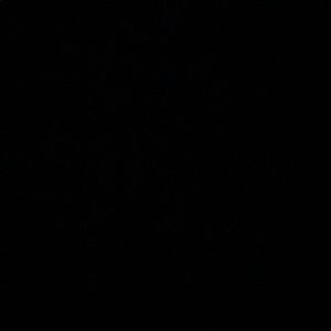 Meet your Posher, Griffin